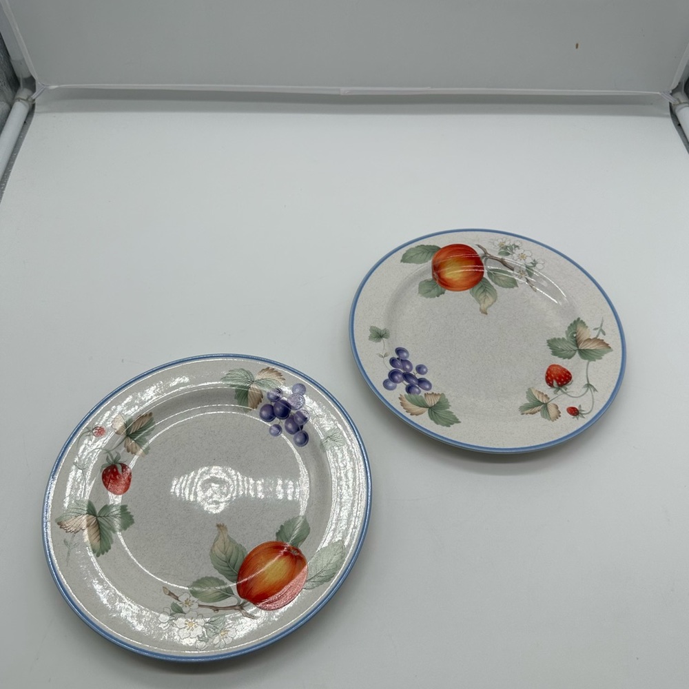 Savoir Vivre Luscious Set of 2 Salad Plate Plates Fruit Japan JJ017